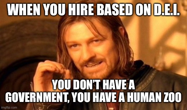 Why D.E.I. Doesn’t Work | WHEN YOU HIRE BASED ON D.E.I. YOU DON’T HAVE A GOVERNMENT, YOU HAVE A HUMAN ZOO | image tagged in memes,one does not simply,diversity,equity,inclusion,hiring | made w/ Imgflip meme maker