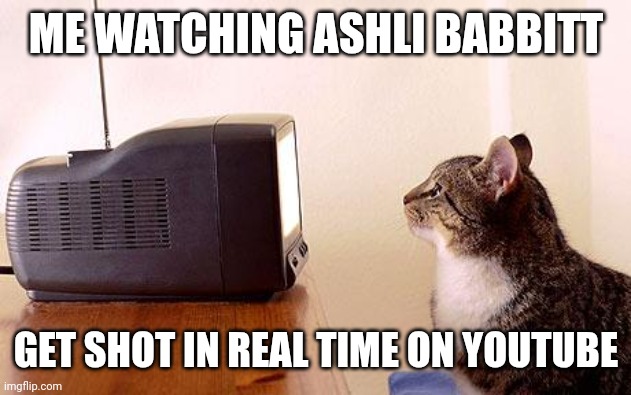 cat watching tv | ME WATCHING ASHLI BABBITT GET SHOT IN REAL TIME ON YOUTUBE | image tagged in cat watching tv | made w/ Imgflip meme maker