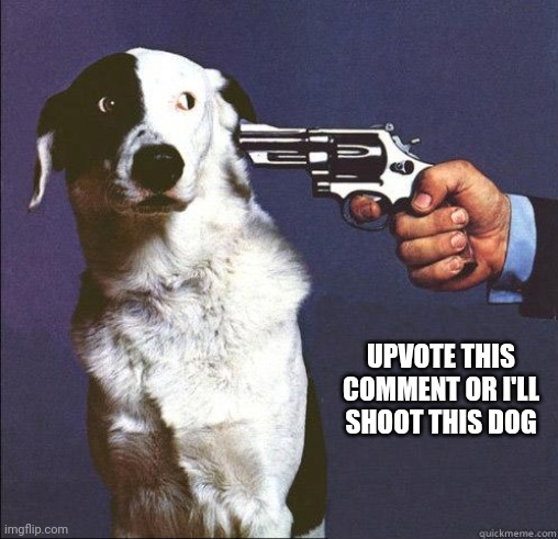 Shoot Dog | UPVOTE THIS COMMENT OR I'LL SHOOT THIS DOG | image tagged in shoot dog | made w/ Imgflip meme maker