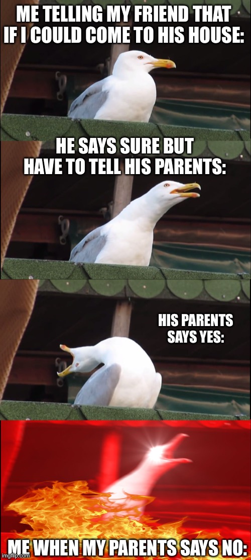 That always happen | ME TELLING MY FRIEND THAT IF I COULD COME TO HIS HOUSE:; HE SAYS SURE BUT HAVE TO TELL HIS PARENTS:; HIS PARENTS SAYS YES:; ME WHEN MY PARENTS SAYS NO: | image tagged in memes,inhaling seagull,true,friends | made w/ Imgflip meme maker