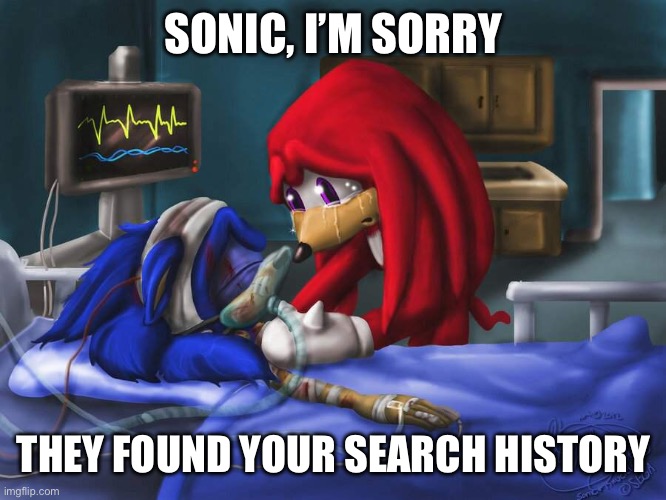 sonic please | SONIC, I’M SORRY; THEY FOUND YOUR SEARCH HISTORY | image tagged in sonic please | made w/ Imgflip meme maker