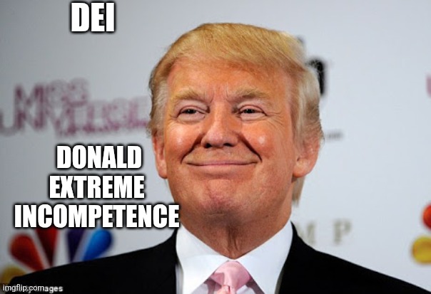 Donald trump approves | DEI; DONALD
EXTREME 
INCOMPETENCE | image tagged in donald trump approves | made w/ Imgflip meme maker