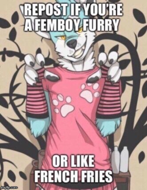 I'm reposting for both reasons ^w^ | image tagged in femboy,furry,french fries,uwu | made w/ Imgflip meme maker