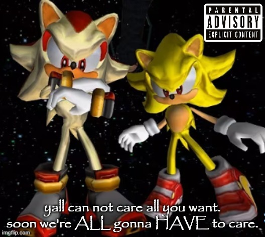 sonic n shadow | yall can not care all you want. soon we're ALL gonna HAVE to care. | image tagged in sonic n shadow | made w/ Imgflip meme maker