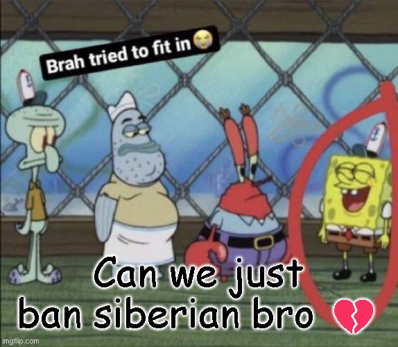 brah tried to fit in | Can we just ban siberian bro 💔 | image tagged in brah tried to fit in | made w/ Imgflip meme maker