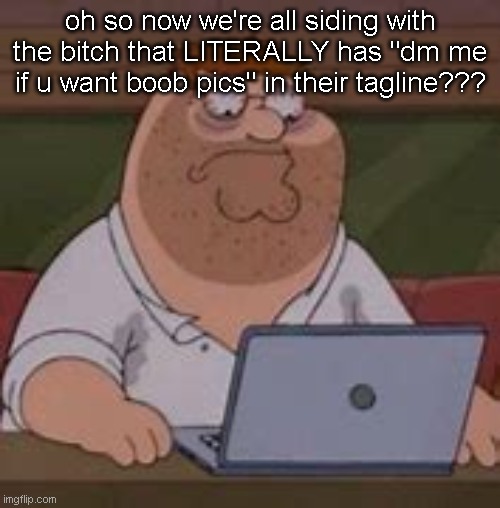 peter griffin sad | oh so now we're all siding with the bitch that LITERALLY has "dm me if u want boob pics" in their tagline??? | image tagged in peter griffin sad | made w/ Imgflip meme maker