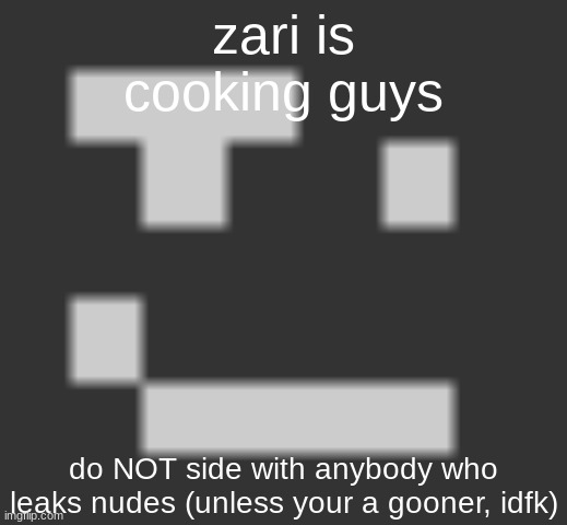 geramn's smirk | zari is cooking guys; do NOT side with anybody who leaks nudes (unless your a gooner, idfk) | image tagged in geramn's smirk | made w/ Imgflip meme maker