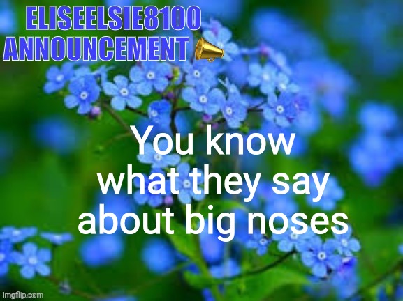 EliseElsie8100 Announcement | You know what they say about big noses | image tagged in eliseelsie8100 announcement | made w/ Imgflip meme maker