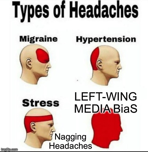Types of Headaches meme | LEFT-WING MEDIA BiaS; Nagging 
Headaches | image tagged in types of headaches meme | made w/ Imgflip meme maker