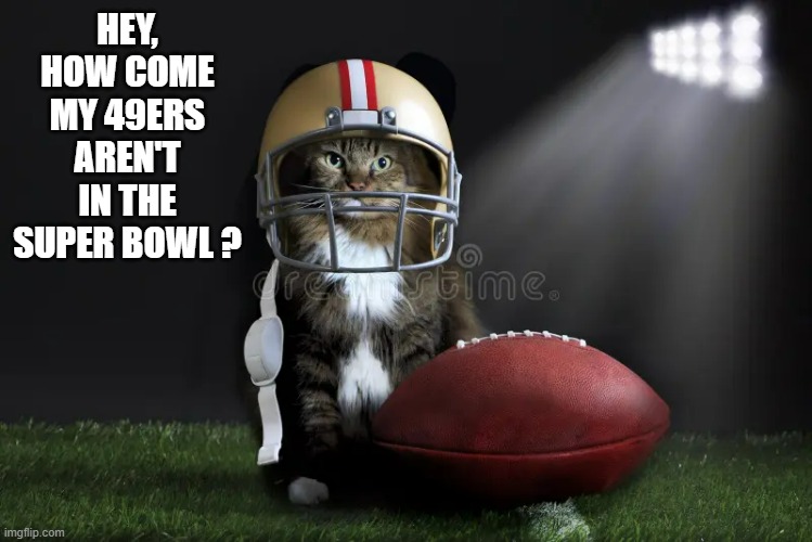 memes by Brad - My cat wants to know why the 49ers aren't in the Super Bowl | HEY, HOW COME MY 49ERS AREN'T IN THE SUPER BOWL ? | image tagged in cats,funny,kitten,super bowl,nfl football,humor | made w/ Imgflip meme maker