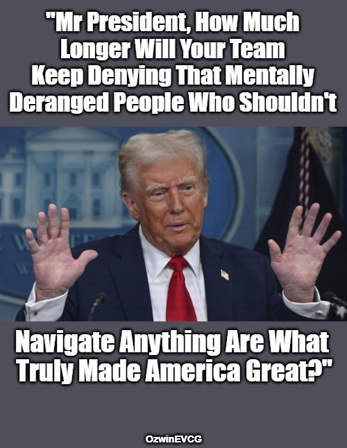 DEI "Journalism" | "Mr President, How Much 

Longer Will Your Team 

Keep Denying That Mentally 

Deranged People Who Shouldn't; Navigate Anything Are What 

Truly Made America Great?"; OzwinEVCG | image tagged in donald trump,msm lies,plane crashes,faa,clown world,americans against weimerica | made w/ Imgflip meme maker