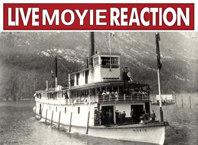 SS Moyie | MOYIE | image tagged in live reaction | made w/ Imgflip meme maker