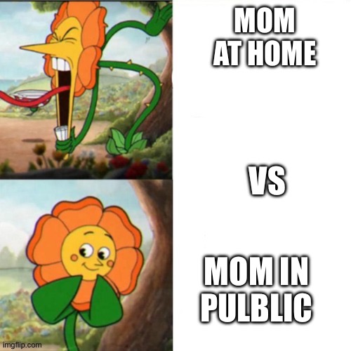 Sunflower | MOM AT HOME; VS; MOM IN PULBLIC | image tagged in sunflower | made w/ Imgflip meme maker