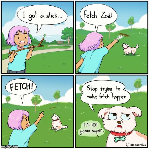 image tagged in dog,stick,fetch,mean girls,stop trying to make fetch happen,it's not gonna happen | made w/ Imgflip meme maker