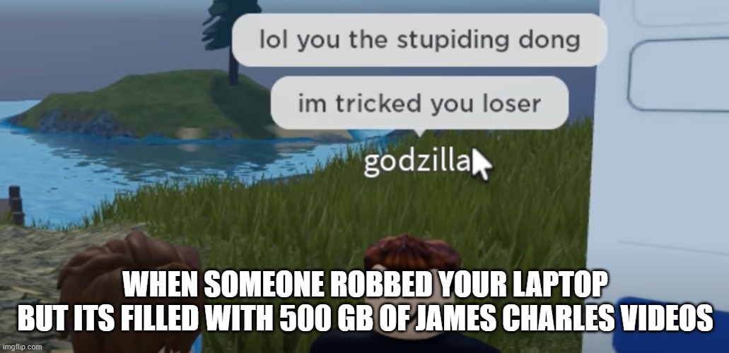 No offense pls dont cancel me | WHEN SOMEONE ROBBED YOUR LAPTOP
BUT ITS FILLED WITH 500 GB OF JAMES CHARLES VIDEOS | image tagged in stupiding dong | made w/ Imgflip meme maker