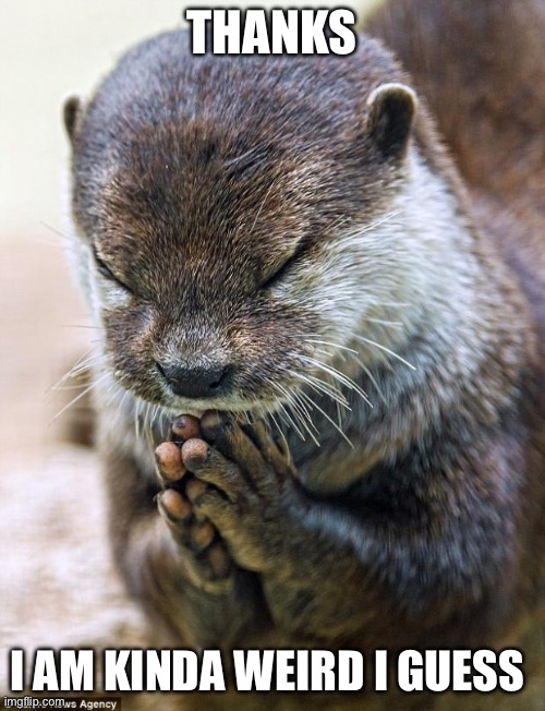 Thank you Lord Otter | THANKS; I AM KINDA WEIRD I GUESS | image tagged in thank you lord otter | made w/ Imgflip meme maker