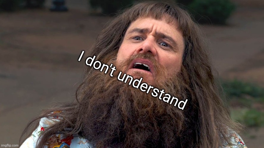 I don't understand | I don't understand | image tagged in i don't understand | made w/ Imgflip meme maker