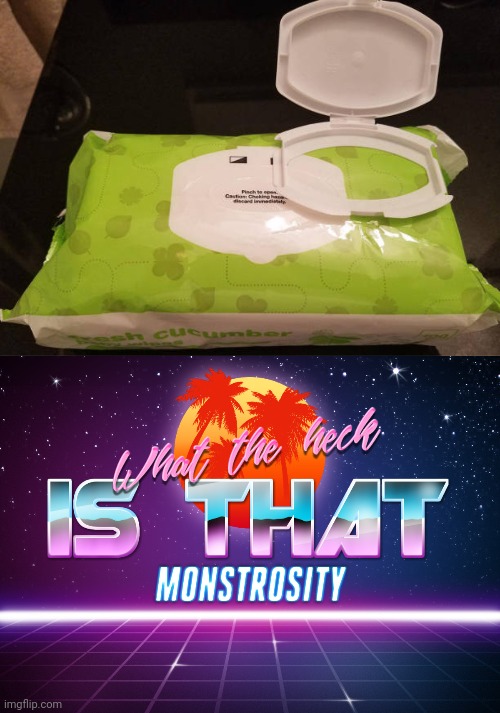 Such monstrosity | image tagged in what the heck is that monstrosity,container,containers,you had one job,memes,monstrosity | made w/ Imgflip meme maker