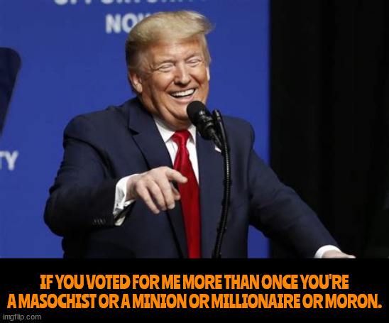 If you voted for Trump | IF YOU VOTED FOR ME MORE THAN ONCE YOU'RE A MASOCHIST OR A MINION OR MILLIONAIRE OR MORON. | image tagged in if you voted for trump,masochist,minion,millionaire,moron,maga amusing | made w/ Imgflip meme maker