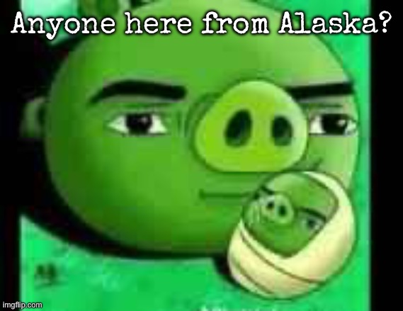 Bad piggies | Anyone here from Alaska? | image tagged in bad piggies,msmg | made w/ Imgflip meme maker