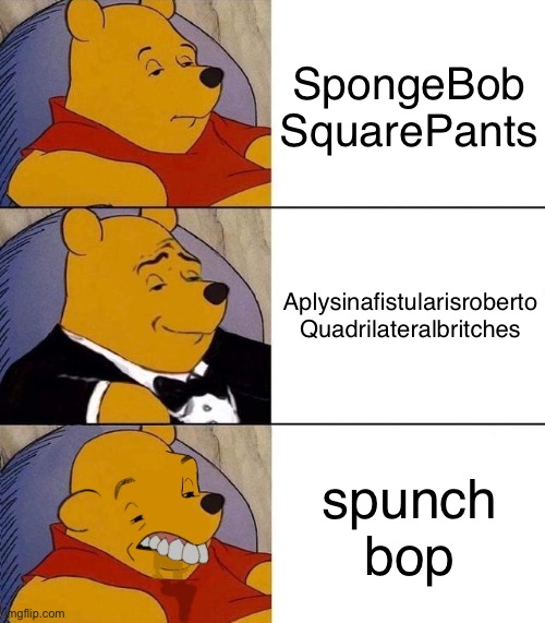 Spongebob meme | SpongeBob SquarePants; Aplysinafistularisroberto Quadrilateralbritches; spunch bop | image tagged in best better blurst | made w/ Imgflip meme maker