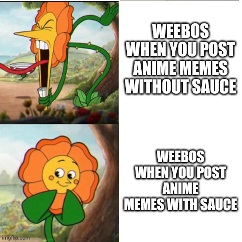 This is why, you need to put sauce | WEEBOS WHEN YOU POST ANIME MEMES WITHOUT SAUCE; WEEBOS WHEN YOU POST ANIME MEMES WITH SAUCE | image tagged in cuphead flower,anime,sauce | made w/ Imgflip meme maker