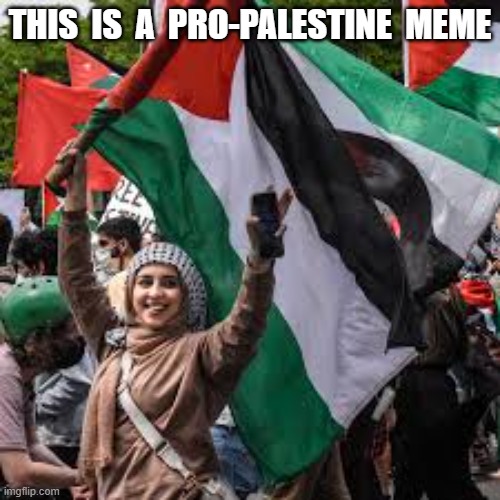 Pro-Palestine Meme | THIS  IS  A  PRO-PALESTINE  MEME | image tagged in palestine | made w/ Imgflip meme maker