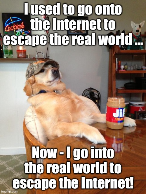 Funny Redneck Dog | I used to go onto the Internet to escape the real world ... Now - I go into the real world to escape the Internet! | image tagged in redneck dog,funny,dogs,redneck,lol | made w/ Imgflip meme maker