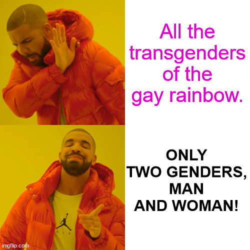 America, f*ck YEAH! USA! USA! USA! | All the transgenders of the gay rainbow. ONLY TWO GENDERS, MAN AND WOMAN! | image tagged in memes,drake hotline bling,transgender,man,woman,funny | made w/ Imgflip meme maker