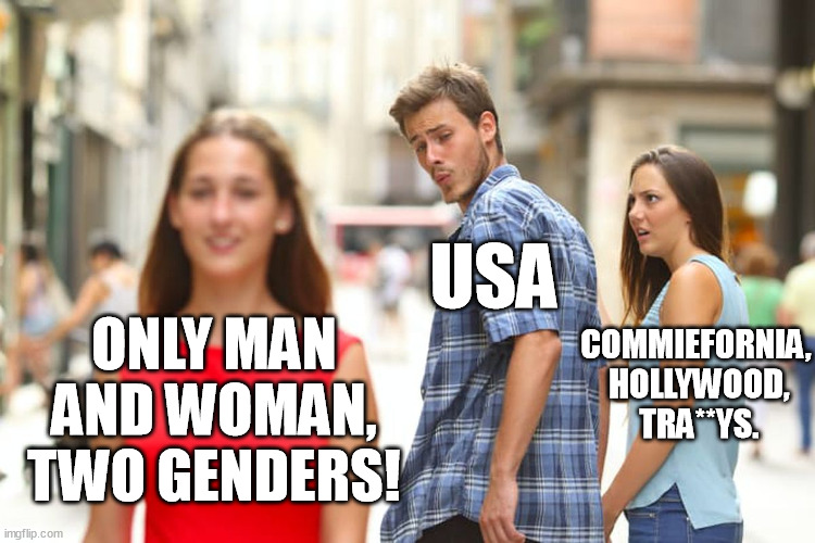 I got nothing against trann*s, but they have been brainwashed by tiktok, instagram, the chinese communist party and Klaus Schwab | USA; COMMIEFORNIA,
 HOLLYWOOD,
 TRA**YS. ONLY MAN AND WOMAN, TWO GENDERS! | image tagged in memes,distracted boyfriend,usa,communism,hollywood,transgender | made w/ Imgflip meme maker