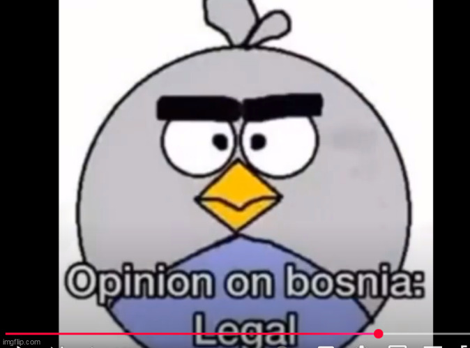 "hey whats your opinionon bosnia?" "legal" | made w/ Imgflip meme maker
