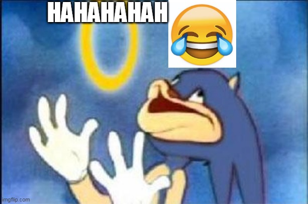 hahahahaha | HAHAHAHAH | image tagged in sonic derp | made w/ Imgflip meme maker