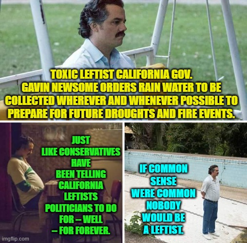 Leftists 'learn' via one wrecked state at of time, after they have left it in smoking ruins. | TOXIC LEFTIST CALIFORNIA GOV. GAVIN NEWSOME ORDERS RAIN WATER TO BE COLLECTED WHEREVER AND WHENEVER POSSIBLE TO PREPARE FOR FUTURE DROUGHTS AND FIRE EVENTS. JUST LIKE CONSERVATIVES HAVE BEEN TELLING CALIFORNIA LEFTISTS POLITICIANS TO DO FOR -- WELL -- FOR FOREVER. IF COMMON SENSE WERE COMMON NOBODY WOULD BE A LEFTIST. | image tagged in sad pablo escobar | made w/ Imgflip meme maker