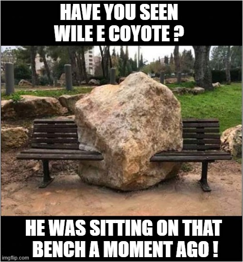 Accidental Sculpture ? | HAVE YOU SEEN WILE E COYOTE ? HE WAS SITTING ON THAT
 BENCH A MOMENT AGO ! | image tagged in wile e coyote,bench,rock | made w/ Imgflip meme maker