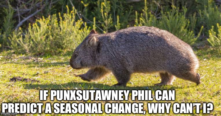 Broken Hill Bruce. | IF PUNXSUTAWNEY PHIL CAN PREDICT A SEASONAL CHANGE, WHY CAN’T I? | image tagged in wombat | made w/ Imgflip meme maker