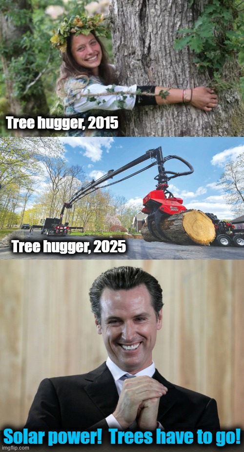 How things have changed in the blue states! | Tree hugger, 2015; Tree hugger, 2025; Solar power!  Trees have to go! | image tagged in scheming gavin newsom,tree hugger,solar power,democrats,memes | made w/ Imgflip meme maker