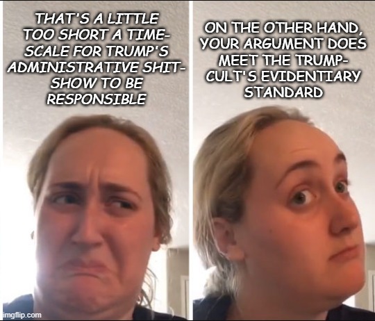 Kombucha Girl | THAT'S A LITTLE
TOO SHORT A TIME-
SCALE FOR TRUMP'S
ADMINISTRATIVE SHIT-
SHOW TO BE
RESPONSIBLE ON THE OTHER HAND,
YOUR ARGUMENT DOES
MEET T | image tagged in kombucha girl | made w/ Imgflip meme maker