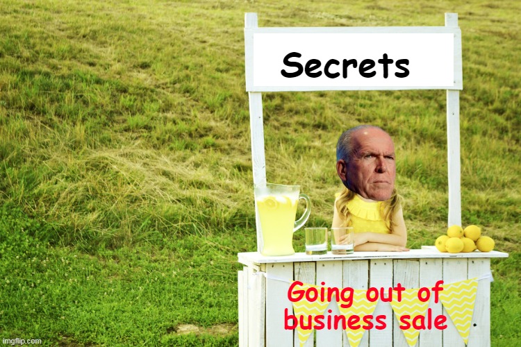 Trump shuts off Grape Vine for 51 Traitors | Secrets; Going out of business sale | image tagged in secret service clearance revoked meme | made w/ Imgflip meme maker