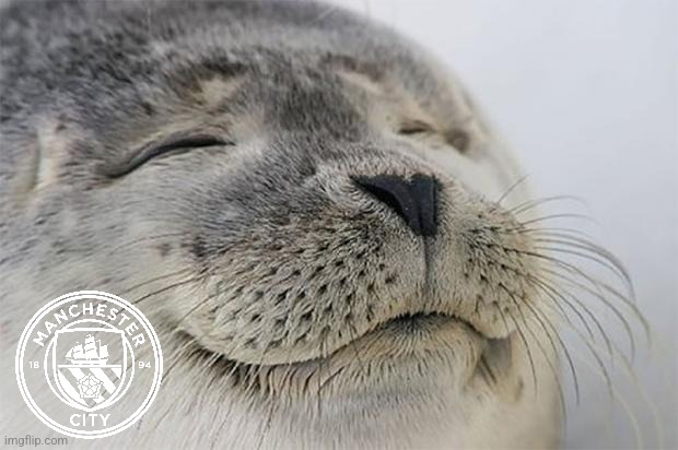 Satisfied Seal Meme | image tagged in memes,satisfied seal | made w/ Imgflip meme maker