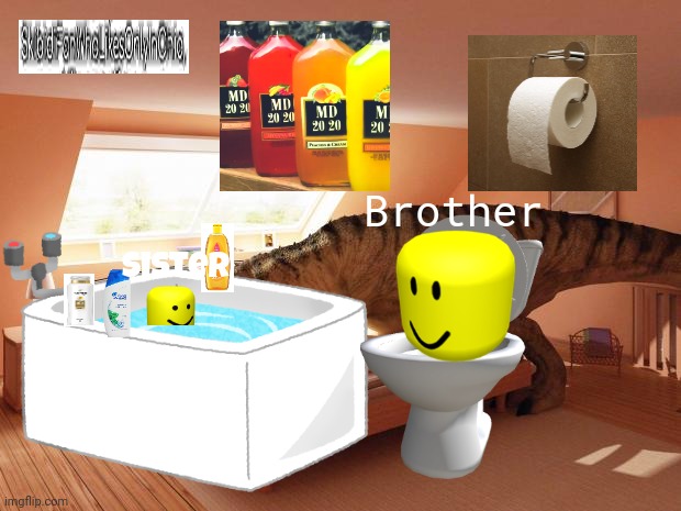 CARL THE EPIC DISASTERS | Brother; Sister | image tagged in t-rex makes bed,fun,memes | made w/ Imgflip meme maker