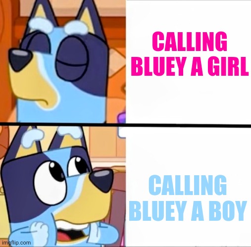 Who's with me?! | CALLING BLUEY A GIRL; CALLING BLUEY A BOY | image tagged in bluey drake | made w/ Imgflip meme maker