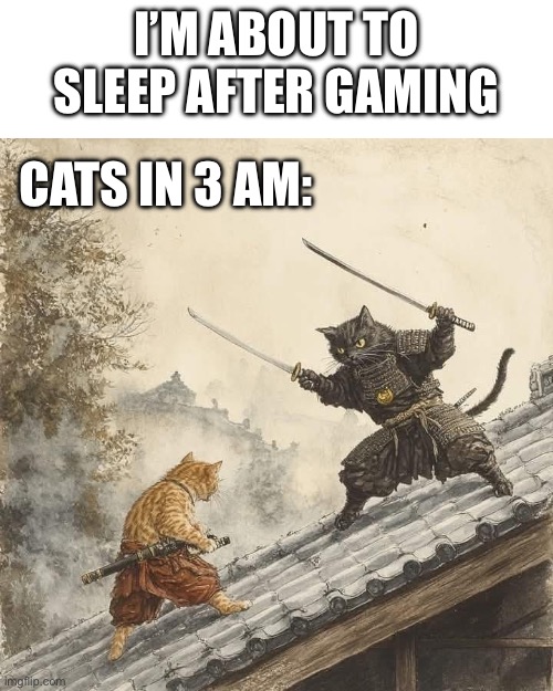 It be like that man | I’M ABOUT TO SLEEP AFTER GAMING; CATS IN 3 AM: | image tagged in cats,memes,funny memes | made w/ Imgflip meme maker