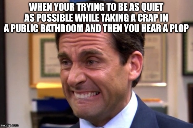 Cringe to your lower intestine | WHEN YOUR TRYING TO BE AS QUIET AS POSSIBLE WHILE TAKING A CRAP IN A PUBLIC BATHROOM AND THEN YOU HEAR A PLOP | image tagged in cringe,poop,toilet,awkward,the office | made w/ Imgflip meme maker
