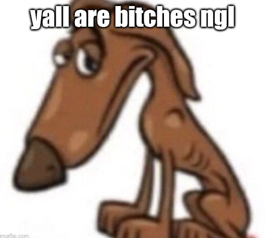 sad dog | yall are bitches ngl | image tagged in sad dog | made w/ Imgflip meme maker