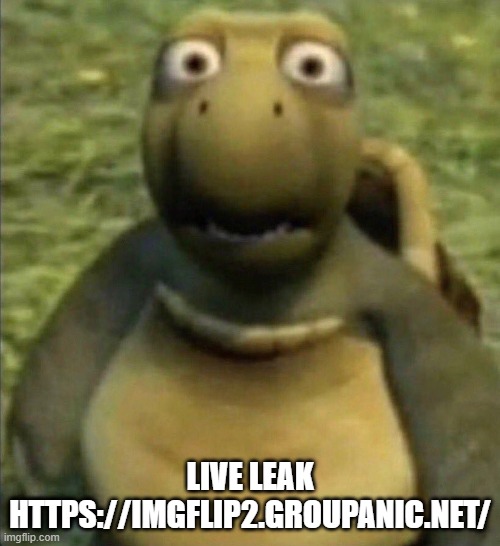 goofy ahh turtle | LIVE LEAK HTTPS://IMGFLIP2.GROUPANIC.NET/ | image tagged in goofy ahh turtle | made w/ Imgflip meme maker