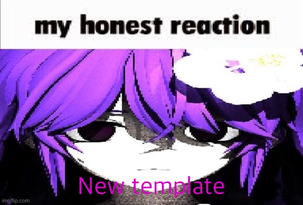 my honest reaction | New template | image tagged in my honest reaction | made w/ Imgflip meme maker