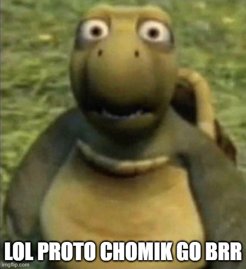 goofy ahh turtle | LOL PROTO CHOMIK GO BRR | image tagged in goofy ahh turtle | made w/ Imgflip meme maker