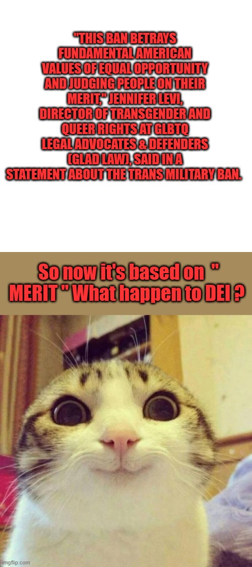 "THIS BAN BETRAYS FUNDAMENTAL AMERICAN VALUES OF EQUAL OPPORTUNITY AND JUDGING PEOPLE ON THEIR MERIT," JENNIFER LEVI, DIRECTOR OF TRANSGENDER AND QUEER RIGHTS AT GLBTQ LEGAL ADVOCATES & DEFENDERS (GLAD LAW), SAID IN A STATEMENT ABOUT THE TRANS MILITARY BAN. So now it's based on  " MERIT " What happen to DEI ? | image tagged in memes,blank transparent square,smiling cat | made w/ Imgflip meme maker