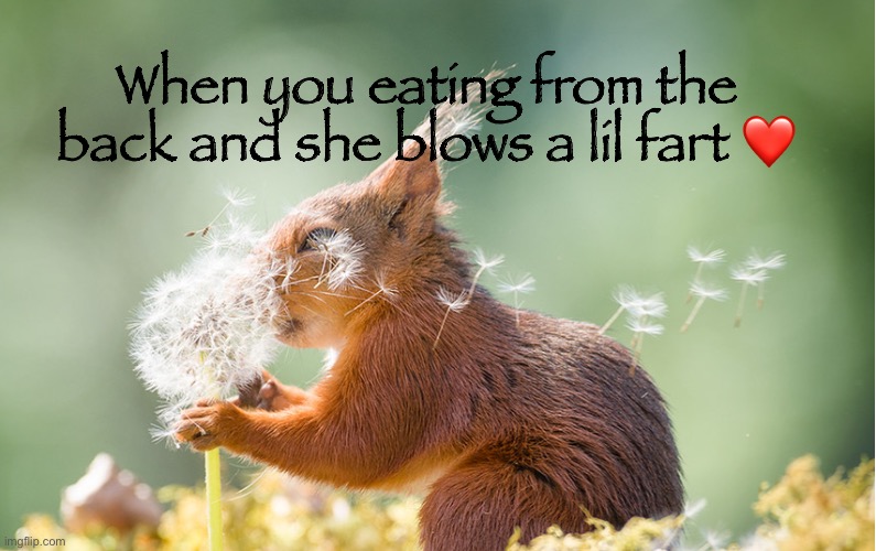 When you eating from the back and she blows a lil fart ❤️ | made w/ Imgflip meme maker