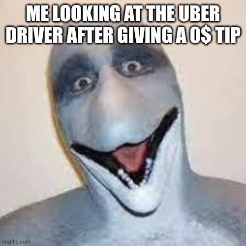 Uber | ME LOOKING AT THE UBER DRIVER AFTER GIVING A 0$ TIP | image tagged in dolphin man | made w/ Imgflip meme maker